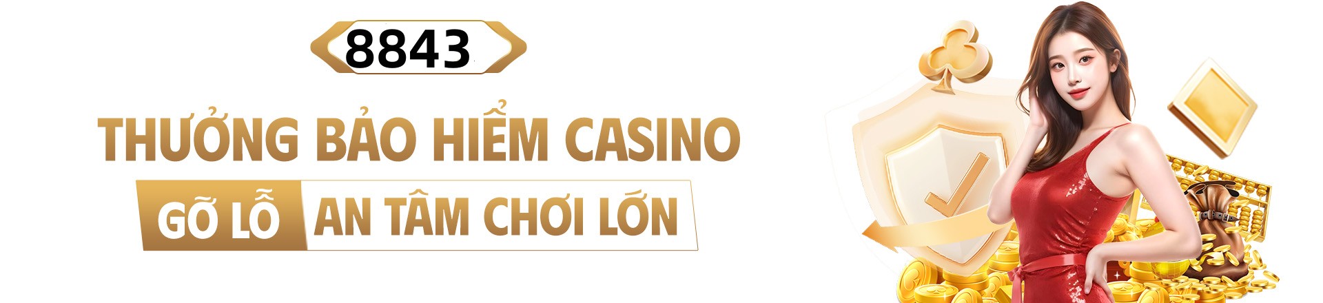 Hình ảnh quảng cáo của vswin hiển thị nền tảng và các lợi ích
