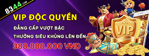 Hình ảnh quảng cáo của vswin hiển thị nền tảng và các lợi ích