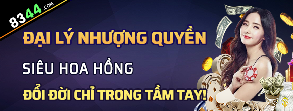 Hình ảnh quảng cáo của vswin hiển thị nền tảng và các lợi ích