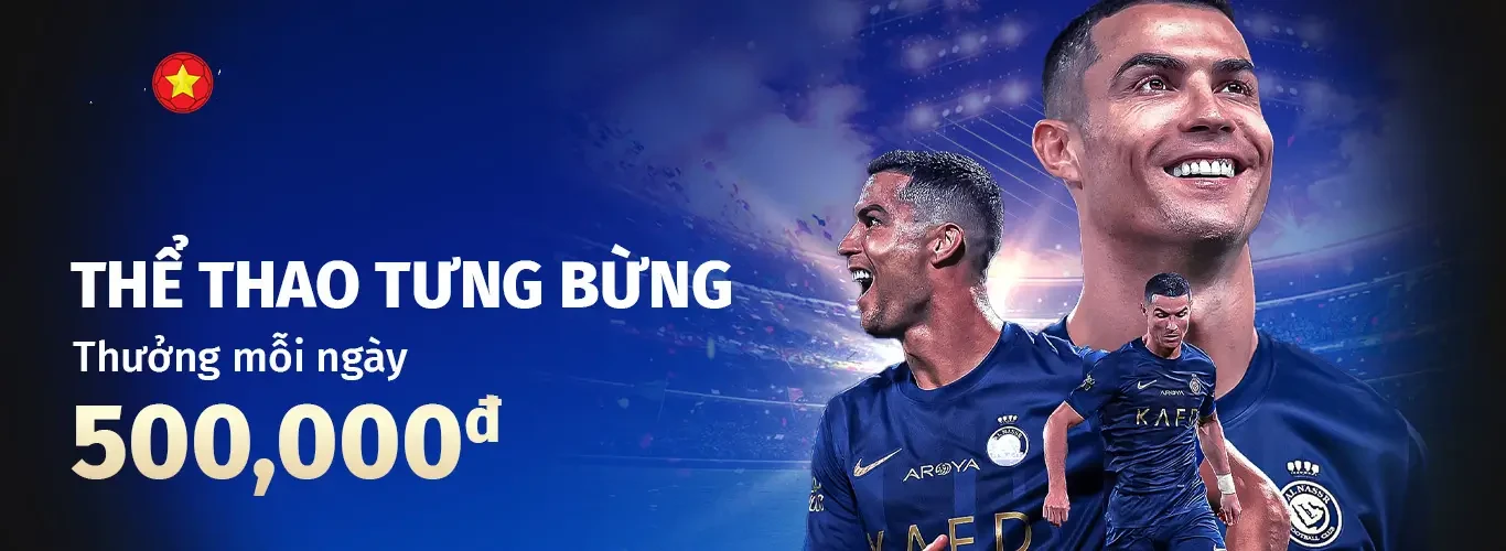 Hình ảnh quảng cáo của vswin hiển thị nền tảng và các lợi ích