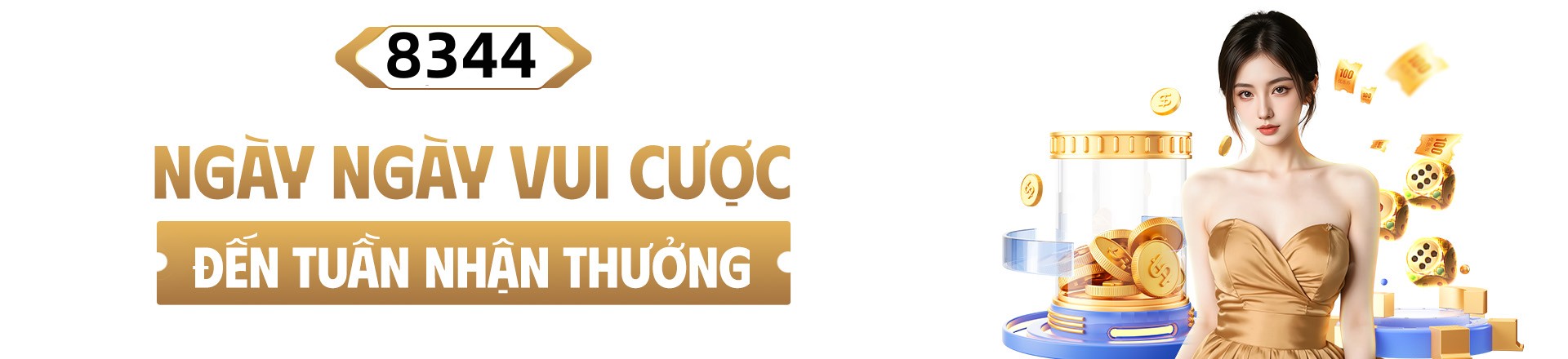 Hình ảnh quảng cáo của vswin hiển thị nền tảng và các lợi ích