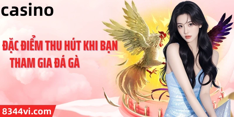 Hình ảnh quảng cáo của vswin hiển thị nền tảng và các lợi ích