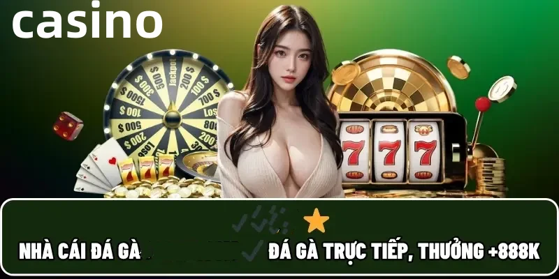 Hình ảnh quảng cáo của vswin hiển thị nền tảng và các lợi ích