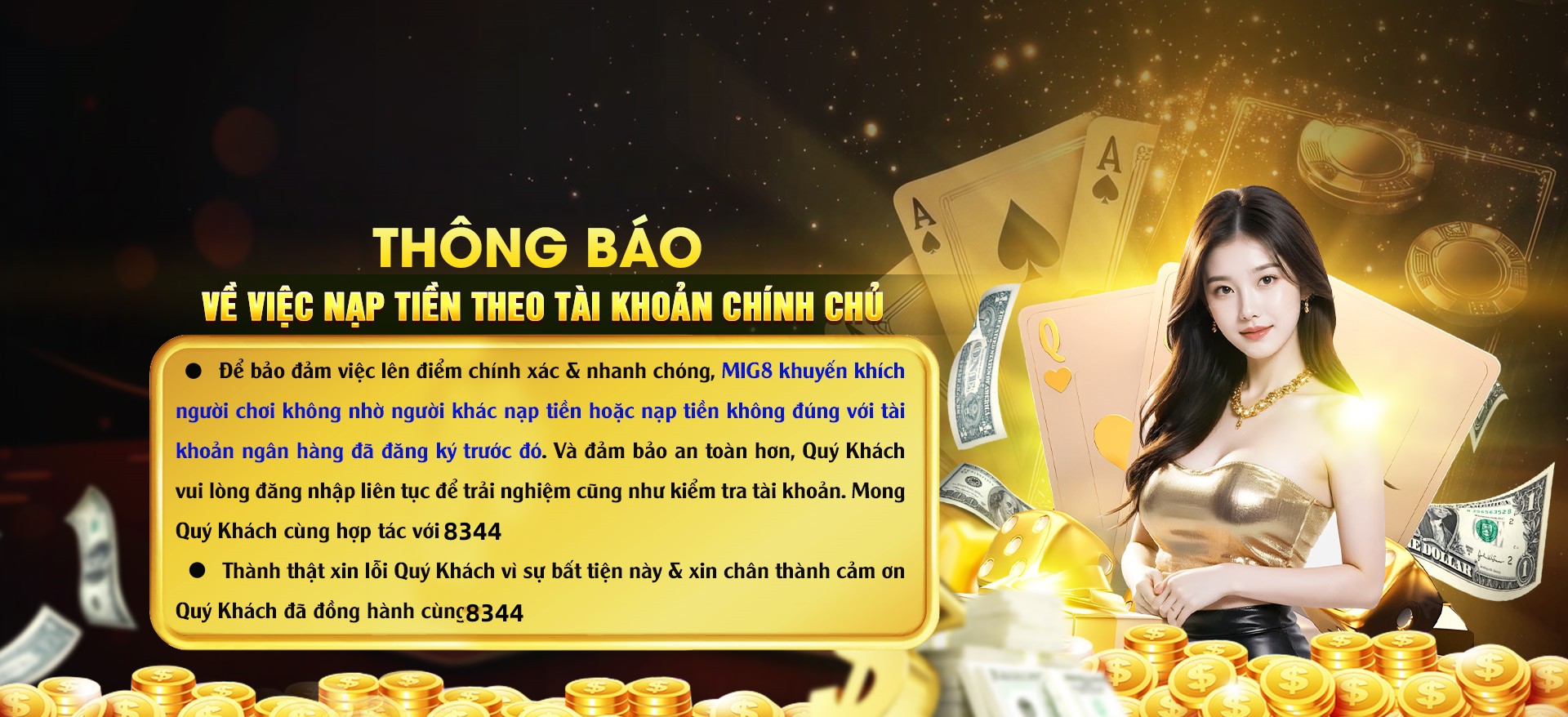 Hình ảnh quảng cáo của vswin hiển thị nền tảng và các lợi ích