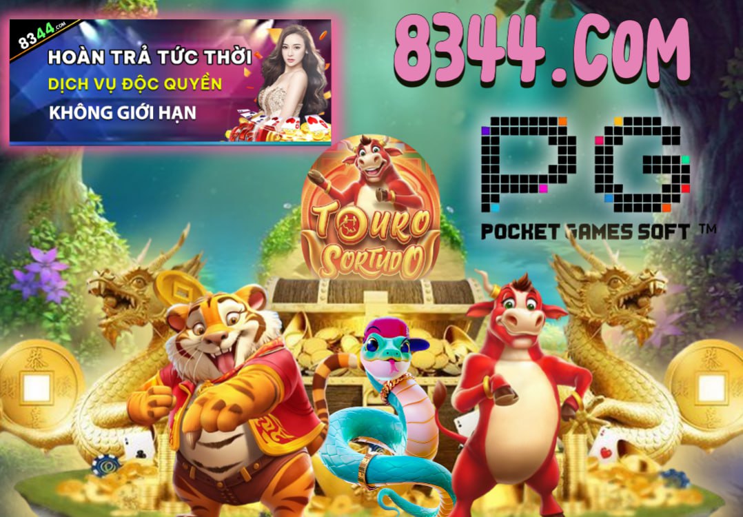 Hình ảnh quảng cáo của vswin hiển thị nền tảng và các lợi ích