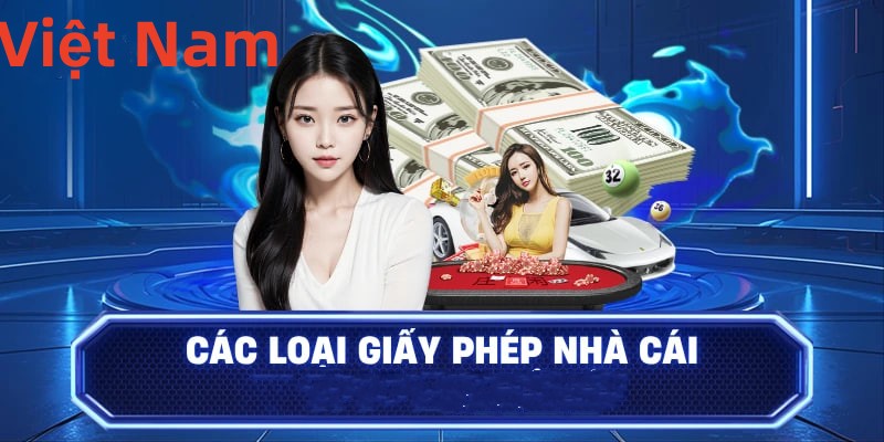 Hình ảnh quảng cáo của vswin hiển thị nền tảng và các lợi ích