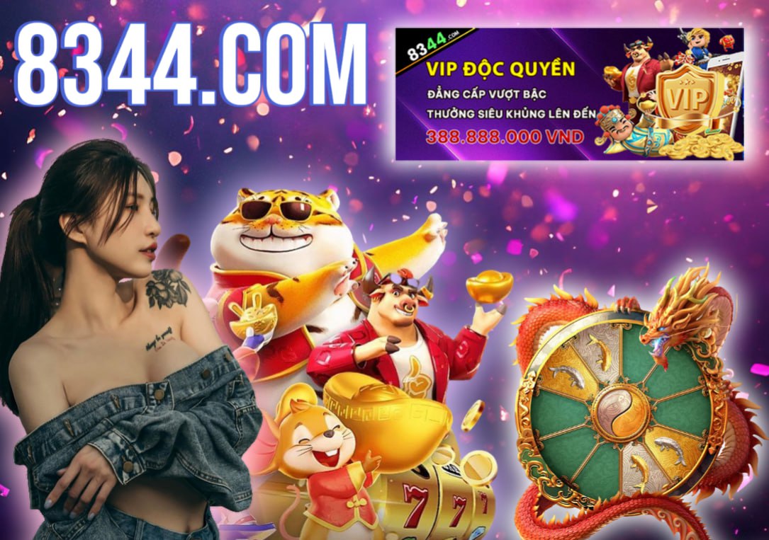 Hình ảnh quảng cáo của vswin hiển thị nền tảng và các lợi ích